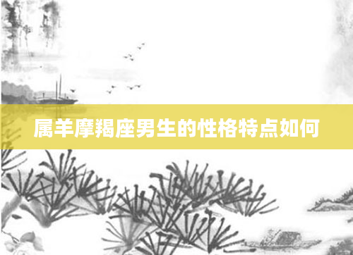 属羊摩羯座男生的性格特点如何