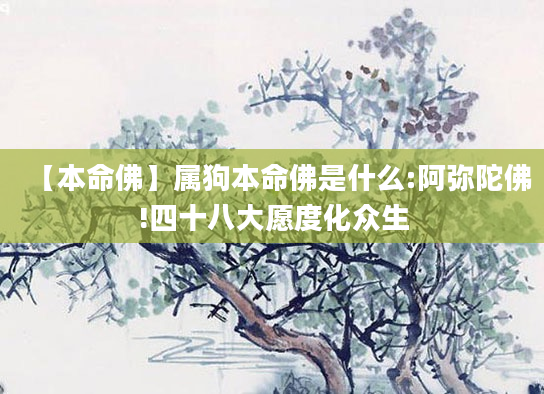 【本命佛】属狗本命佛是什么:阿弥陀佛!四十八大愿度化众生