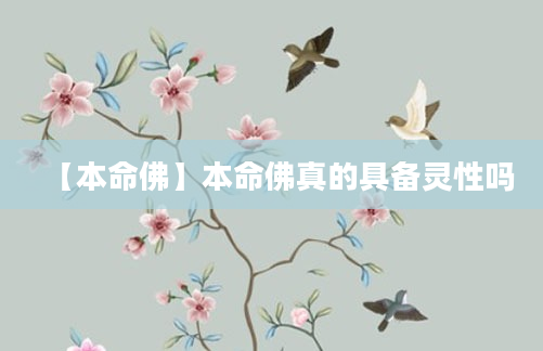 【本命佛】本命佛真的具备灵性吗