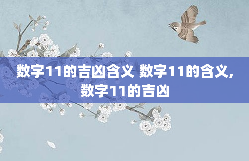 数字11的吉凶含义 数字11的含义,数字11的吉凶