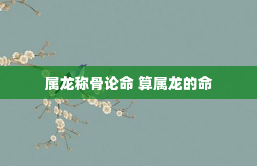 属龙称骨论命 算属龙的命