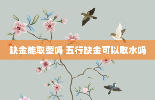 缺金能取蓥吗 五行缺金可以取水吗