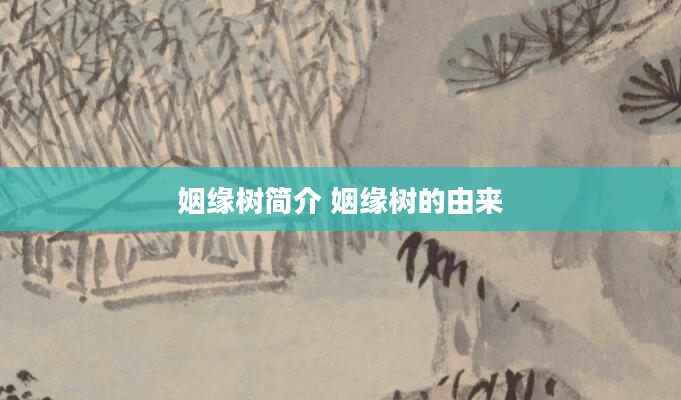 姻缘树简介 姻缘树的由来