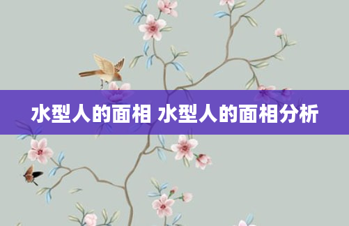 水型人的面相 水型人的面相分析