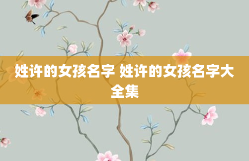 姓许的女孩名字 姓许的女孩名字大全集