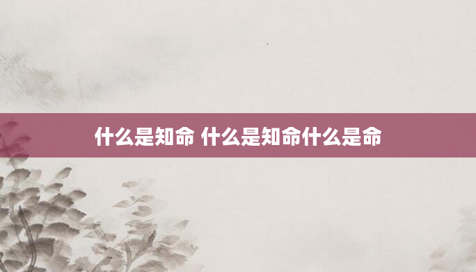 什么是知命 什么是知命什么是命