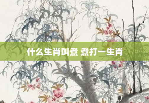 什么生肖叫煮 煮打一生肖