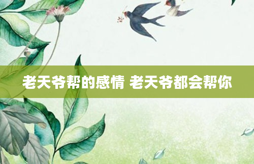 老天爷帮的感情 老天爷都会帮你
