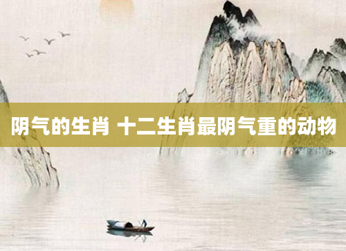 阴气的生肖 十二生肖最阴气重的动物