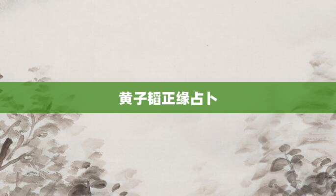 黄子韬正缘占卜