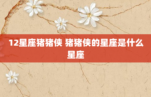 12星座猪猪侠 猪猪侠的星座是什么星座