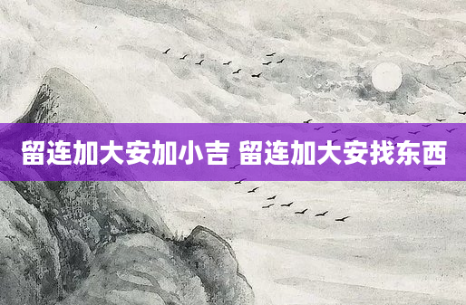留连加大安加小吉 留连加大安找东西