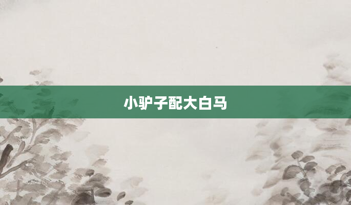 小驴子配大白马