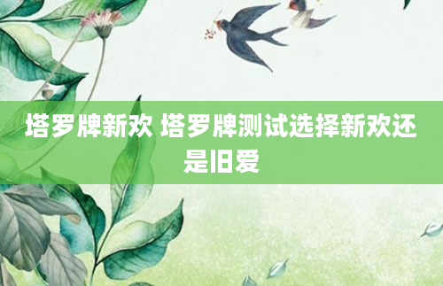 塔罗牌新欢 塔罗牌测试选择新欢还是旧爱