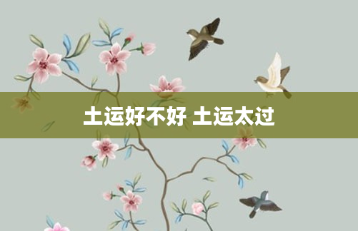 土运好不好 土运太过