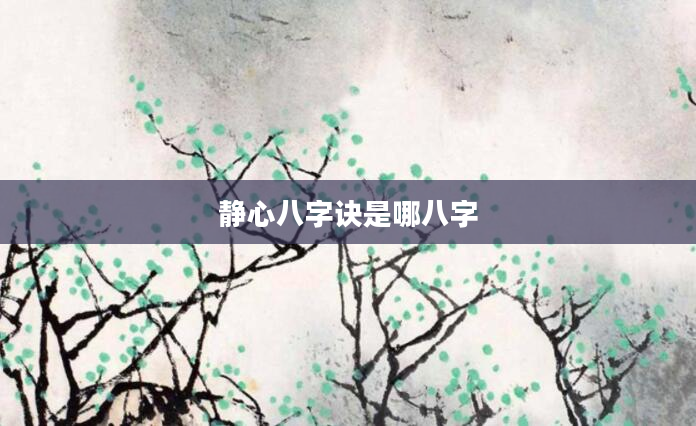静心八字诀是哪八字