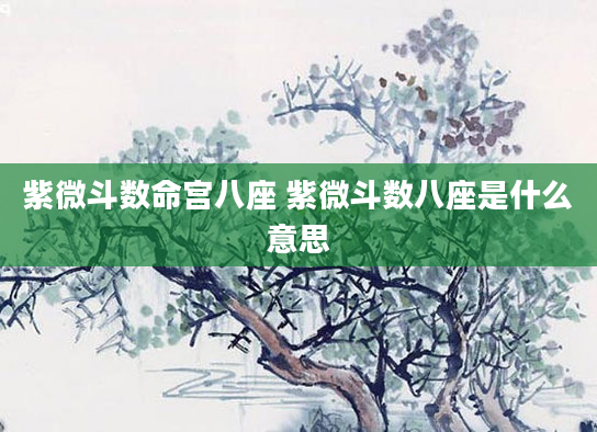 紫微斗数命宫八座 紫微斗数八座是什么意思