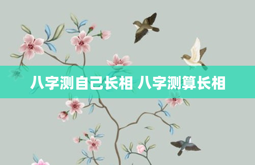 八字测自己长相 八字测算长相