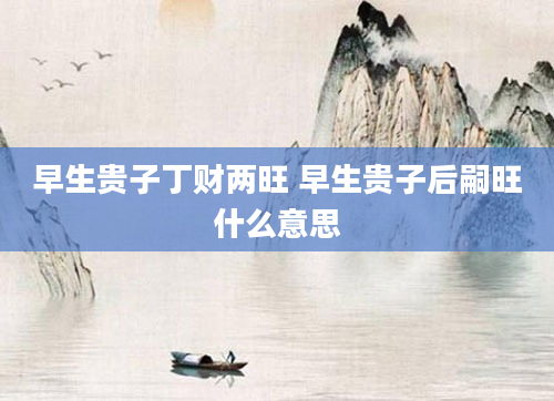 早生贵子丁财两旺 早生贵子后嗣旺什么意思