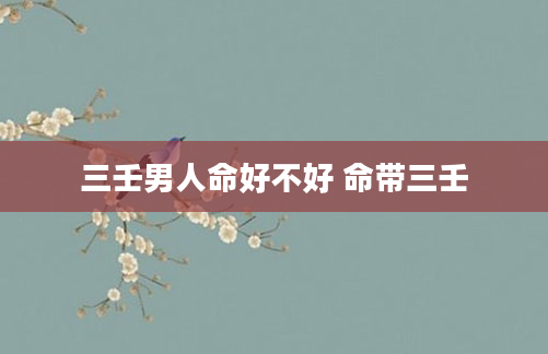 三壬男人命好不好 命带三壬