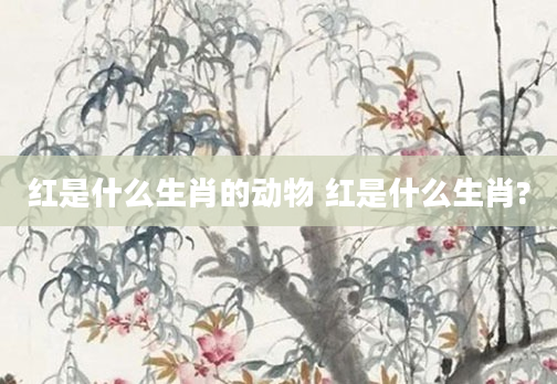 红是什么生肖的动物 红是什么生肖?