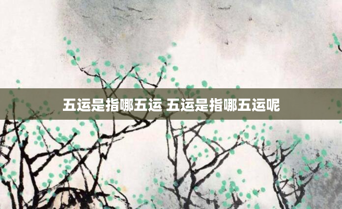 五运是指哪五运 五运是指哪五运呢