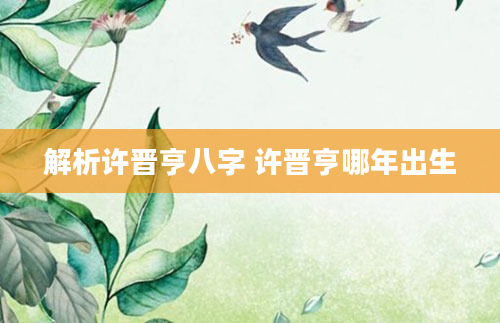 解析许晋亨八字 许晋亨哪年出生