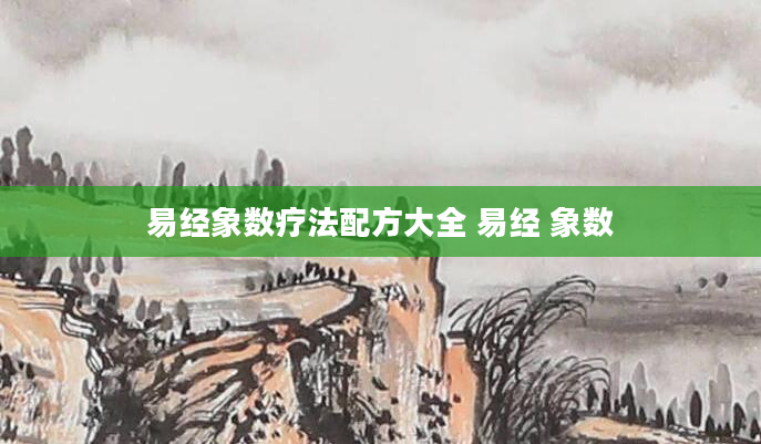 易经象数疗法配方大全 易经 象数