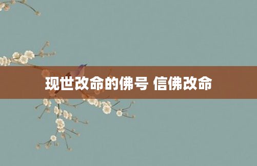 现世改命的佛号 信佛改命
