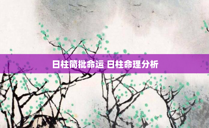 日柱简批命运 日柱命理分析