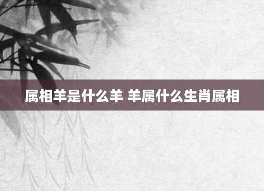 属相羊是什么羊 羊属什么生肖属相