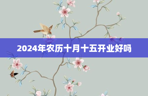 2024年农历十月十五开业好吗