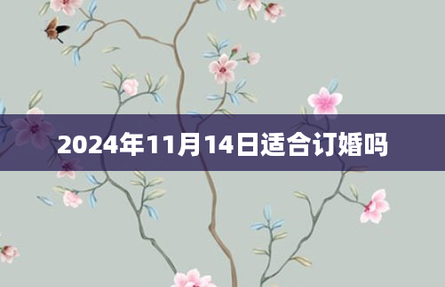 2024年11月14日适合订婚吗