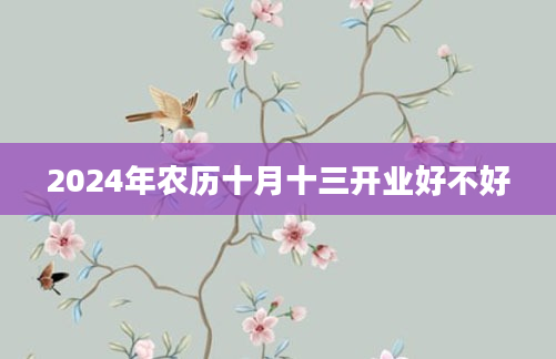 2024年农历十月十三开业好不好