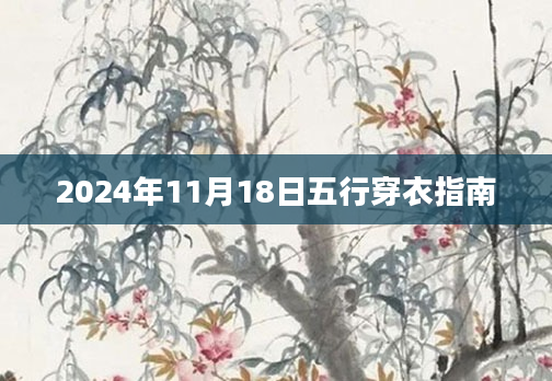 2024年11月18日五行穿衣指南