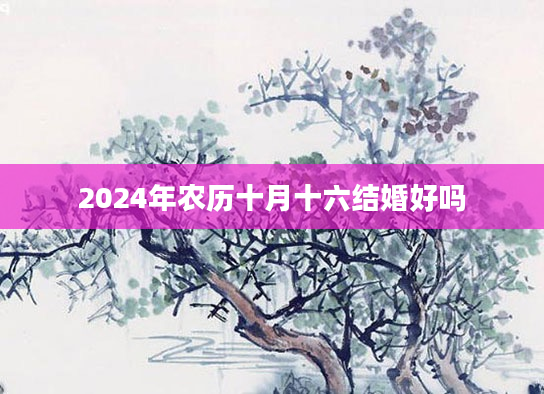 2024年农历十月十六结婚好吗