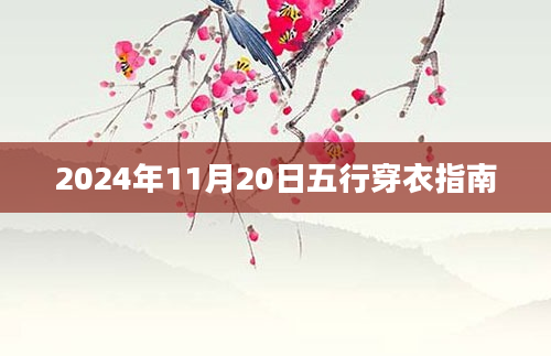 2024年11月20日五行穿衣指南