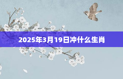 2025年3月19日冲什么生肖