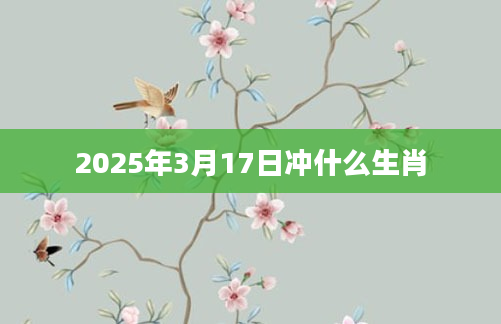 2025年3月17日冲什么生肖