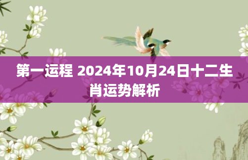第一运程 2024年10月24日十二生肖运势解析