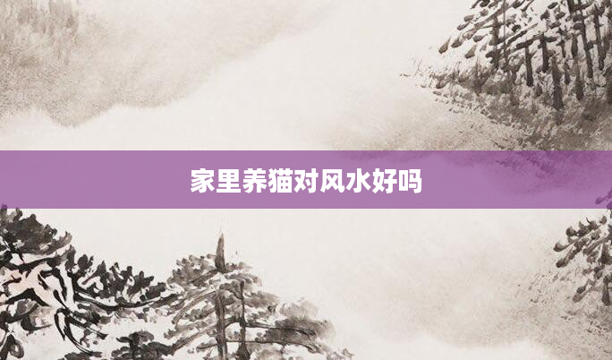 家里养猫对风水好吗