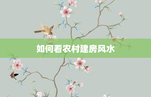 如何看农村建房风水