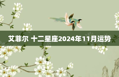 艾菲尔 十二星座2024年11月运势