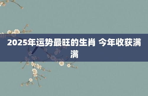 2025年运势最旺的生肖 今年收获满满
