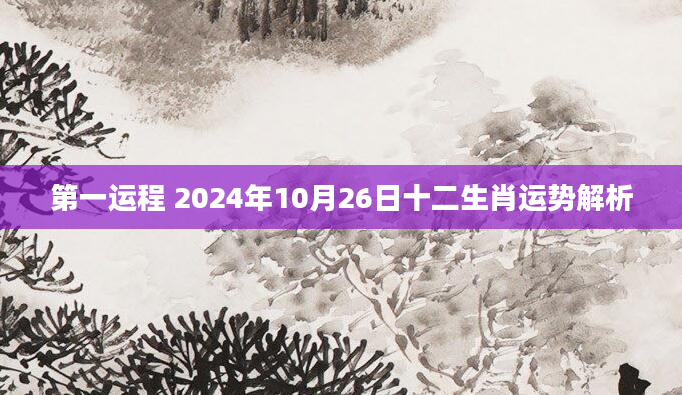 第一运程 2024年10月26日十二生肖运势解析