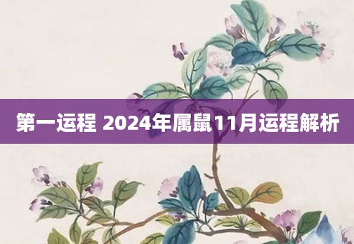 第一运程 2024年属鼠11月运程解析