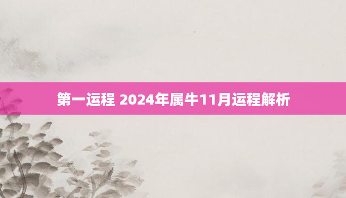 第一运程 2024年属牛11月运程解析