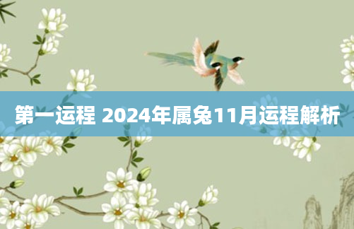 第一运程 2024年属兔11月运程解析