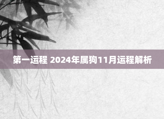 第一运程 2024年属狗11月运程解析