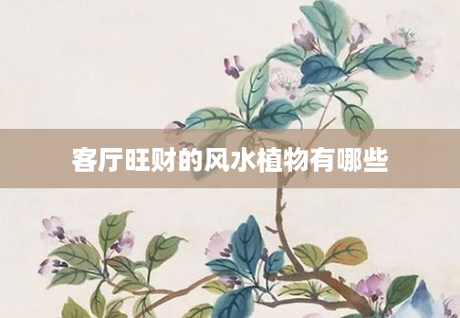 客厅旺财的风水植物有哪些